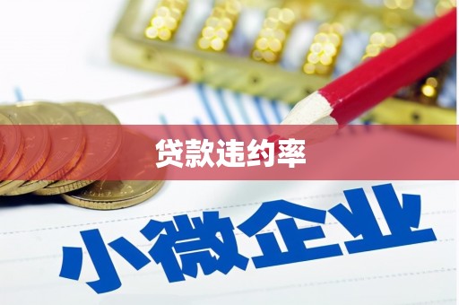 永善贷款违约率