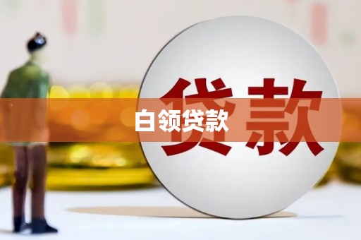 永善白领贷款