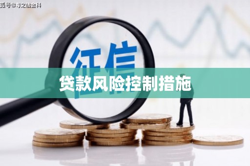 永善贷款风险控制措施