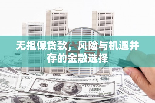 永善无担保贷款，风险与机遇并存的金融选择