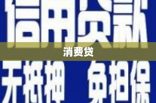 永善消费贷