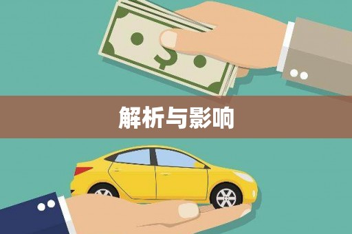 永善解析与影响