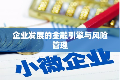 永善企业发展的金融引擎与风险管理