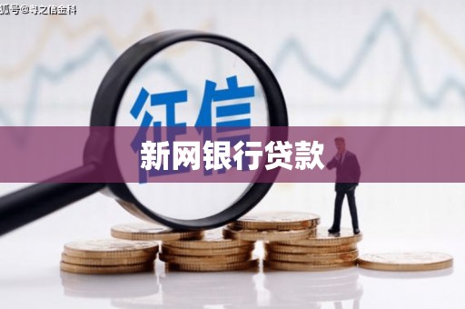 永善新网银行贷款