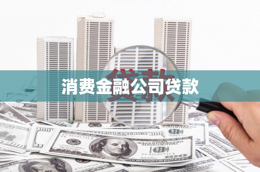 永善消费金融公司贷款