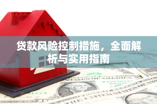 永善贷款风险控制措施，全面解析与实用指南