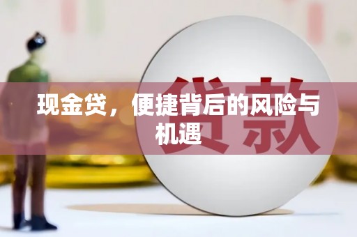 永善现金贷，便捷背后的风险与机遇