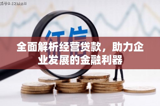 永善全面解析经营贷款，助力企业发展的金融利器