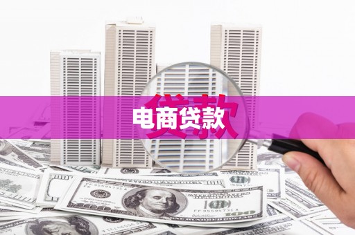 永善电商贷款