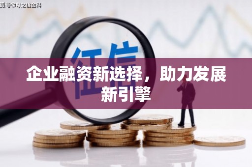 永善企业融资新选择，助力发展新引擎