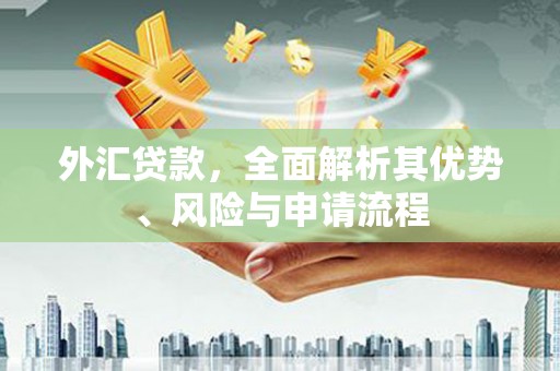 永善外汇贷款，全面解析其优势、风险与申请流程
