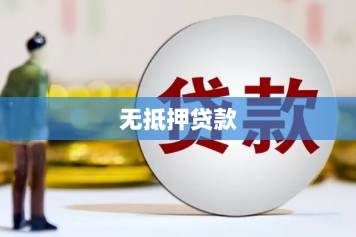 永善无抵押贷款