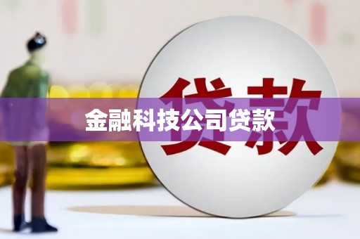永善金融科技公司贷款
