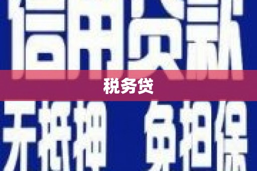 永善税务贷