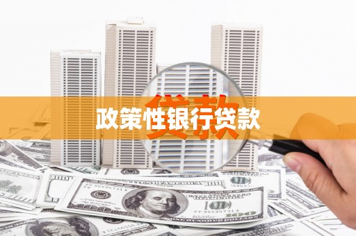永善政策性银行贷款