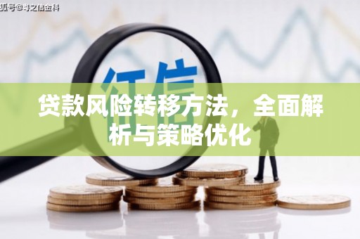 永善贷款风险转移方法，全面解析与策略优化