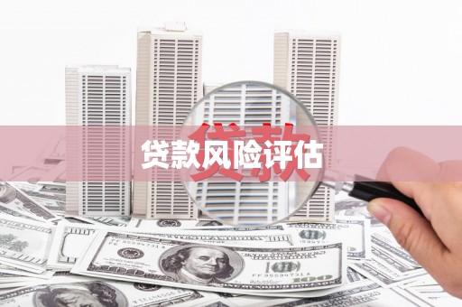 永善贷款风险评估