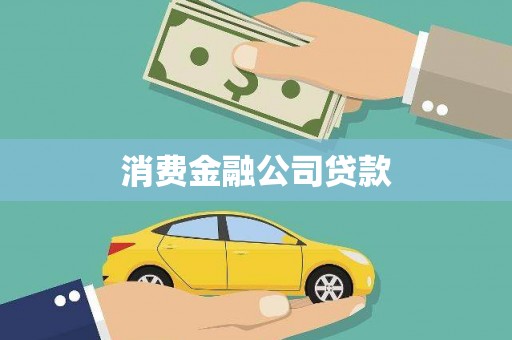 永善消费金融公司贷款