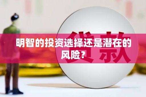 永善明智的投资选择还是潜在的风险？