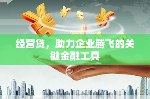 永善经营贷，助力企业腾飞的关键金融工具