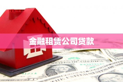 永善金融租赁公司贷款