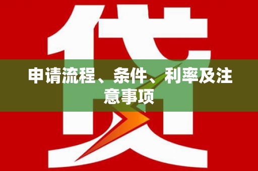 永善申请流程、条件、利率及注意事项