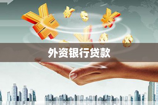 永善外资银行贷款
