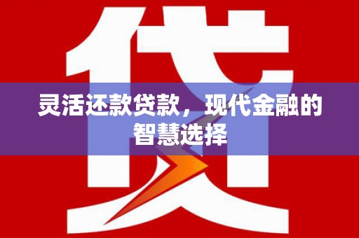 永善灵活还款贷款，现代金融的智慧选择