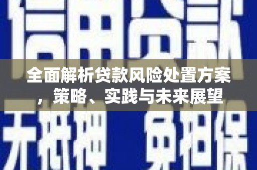 永善全面解析贷款风险处置方案，策略、实践与未来展望