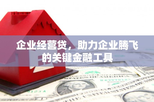 永善企业经营贷，助力企业腾飞的关键金融工具