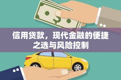 永善信用贷款，现代金融的便捷之选与风险控制