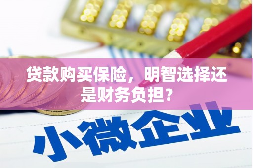 永善贷款购买保险，明智选择还是财务负担？