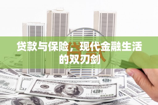 永善贷款与保险，现代金融生活的双刃剑