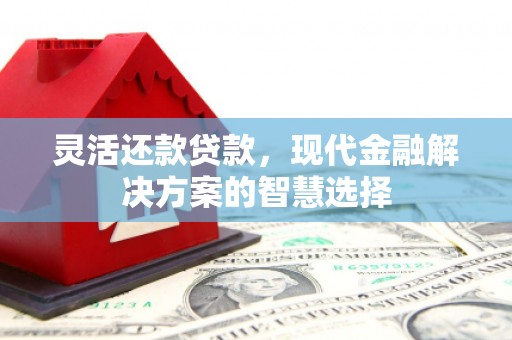永善灵活还款贷款，现代金融解决方案的智慧选择