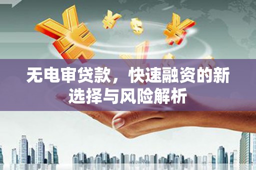 永善无电审贷款，快速融资的新选择与风险解析