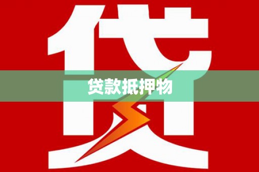 永善贷款抵押物