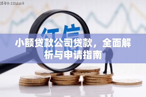 永善小额贷款公司贷款，全面解析与申请指南