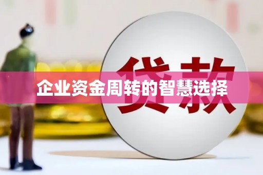 永善企业资金周转的智慧选择