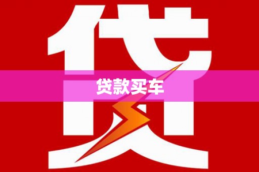 永善贷款买车