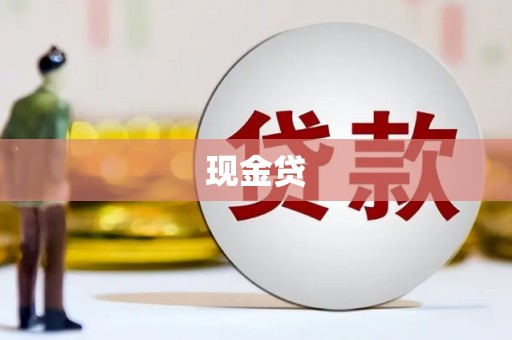 永善现金贷