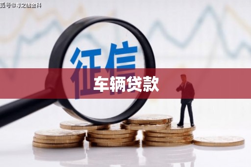 永善车辆贷款