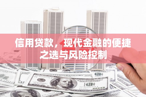 永善信用贷款，现代金融的便捷之选与风险控制