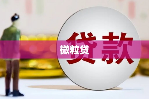 永善微粒贷
