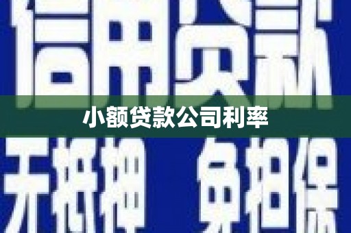 永善小额贷款公司利率