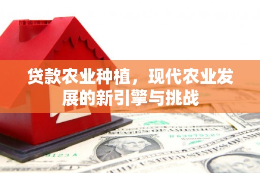 永善贷款农业种植，现代农业发展的新引擎与挑战