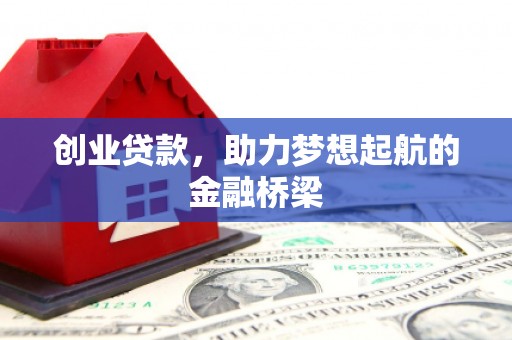 永善创业贷款，助力梦想起航的金融桥梁