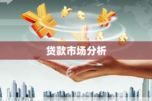 永善贷款市场分析