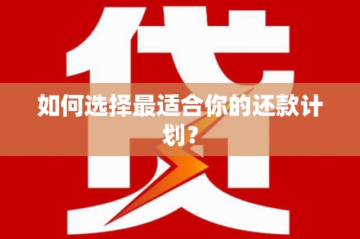 永善如何选择最适合你的还款计划？