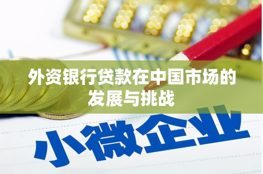 永善外资银行贷款在中国市场的发展与挑战