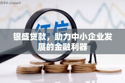 永善银盛贷款，助力中小企业发展的金融利器